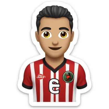 Eskişehirspor sticker