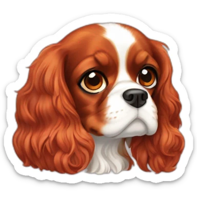 ruby cavalier king charles spaniel sticker
