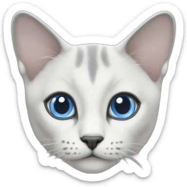 blue eyes White-grey Thai cat sticker