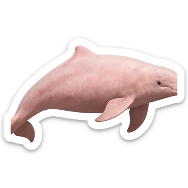 pink dolphin sticker