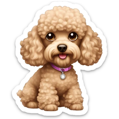 beige toy poodle sticker