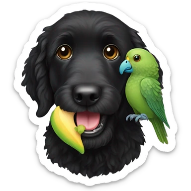 Black labradoodle with parakeet in mouth sticker