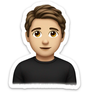 boy with a middle part flow hairstyle, brown hair and a black sweater, brown eyes and white skin sticker