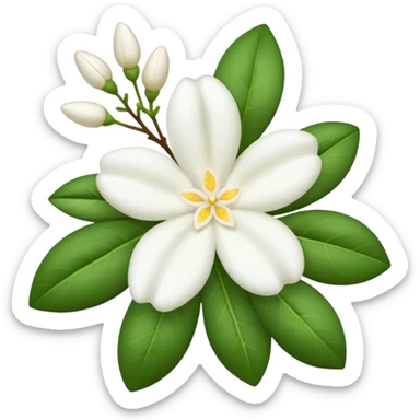 Night jasmine sticker