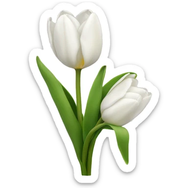 White tulips sticker