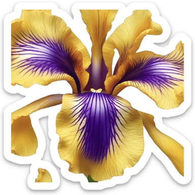 Iris sticker