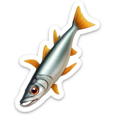 europian anchovy sticker