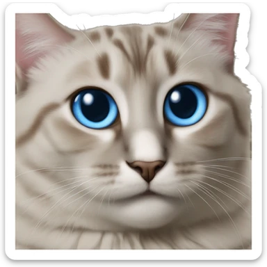 Cat siames whit blue eyes  sticker