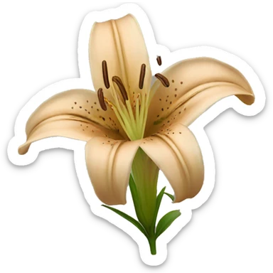 light brown lilium sticker