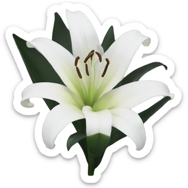black and white lily sticker