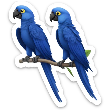Hyacinth Macaw pair Full Body sticker
