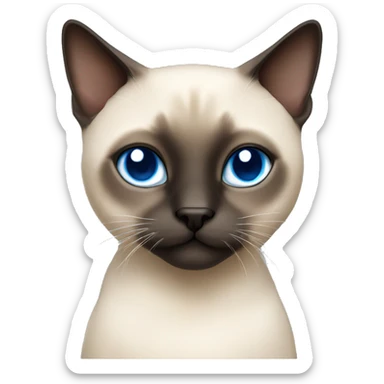 Short hair Siamese cat with blue eyes sticker