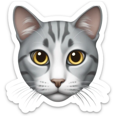 realistic grey and white cat gazing forward  sticker