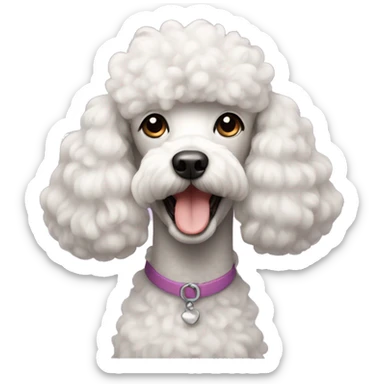 Poodle  sticker