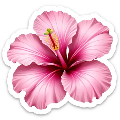 Pastel pink hibiscus  flower ￼ sticker