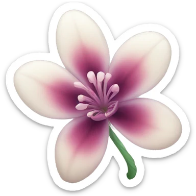 beautiful flower sticker