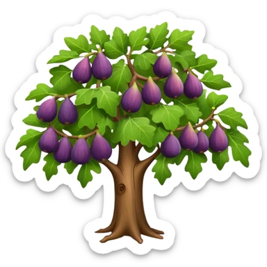 fig tree  sticker