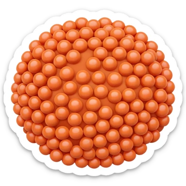 coral lentil sticker