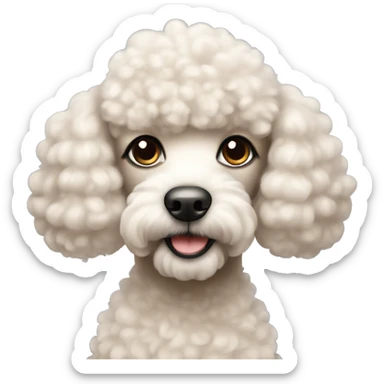 Cute poodle with long eyelashes sticker