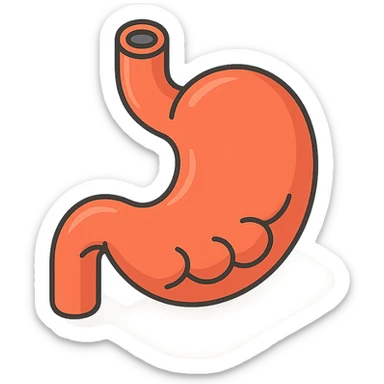 stomach, 2D isometric style, minimalist background, soft shadows and highlights, detailed, transparent background, shape and style similar to the first intestine variant sticker
