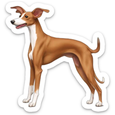 podenco andaluz marron saltando sticker