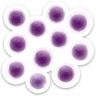 immune support sticker