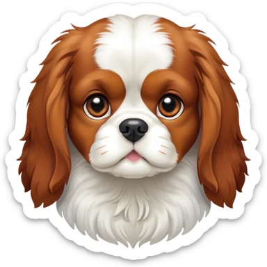 King Charles cavalier spaniel  sticker