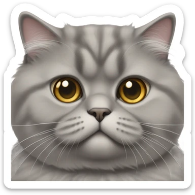 fluffy british shorthair cat sticker