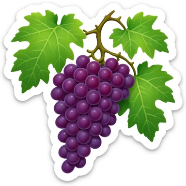 Grape vine sticker