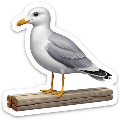 A seagull rocking sticker