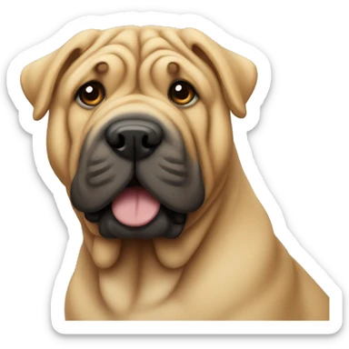 Shar pei sticker