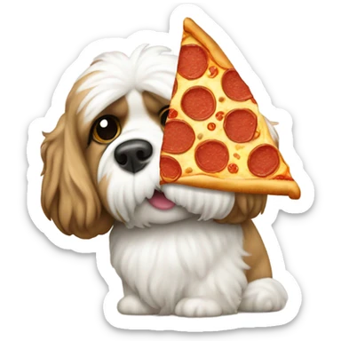 Shitzu eating a pizza sticker