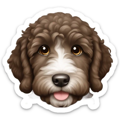 Dark brown and sable labradoodle puppy with white patch on chest sticker