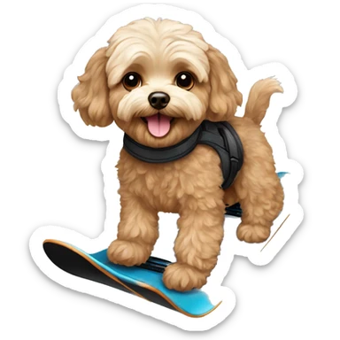Brown Maltipoo Snowboard sticker