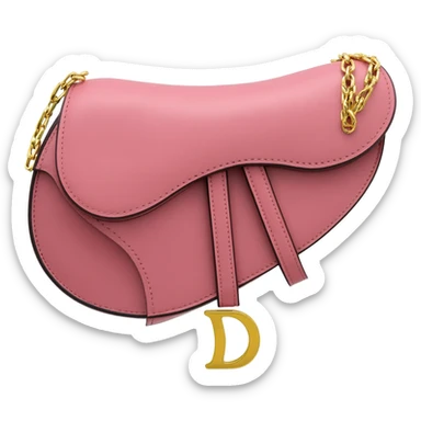 dior pink saddle bag sticker