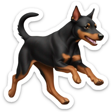 red Australian kelpie running sticker