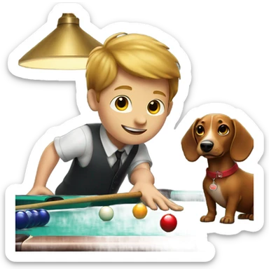 Boy with weiner dog playing pool sticker