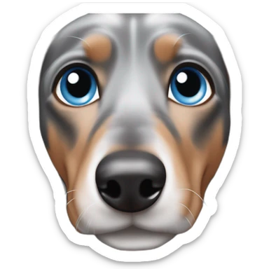 dapple grey dachshund with blue eyes sticker
