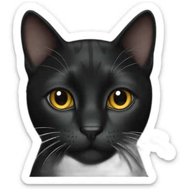 black cat with thin white stripe on nose and forehead sticker