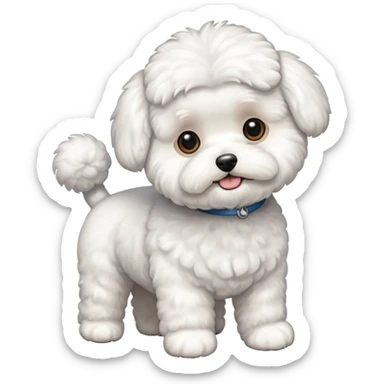 a full body of cute bichon frise sticker