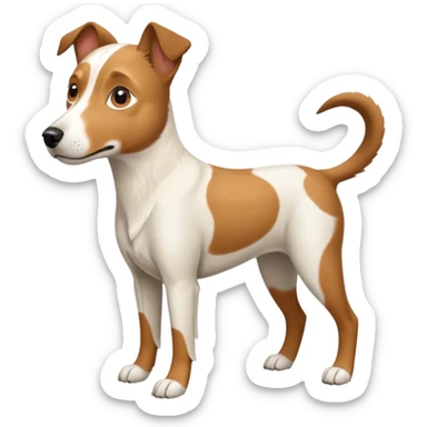 a full body large white parson russell looking dog the size of a kelpie with light brown flapped down ears and a light brown patch on one eye and a large snout sticker