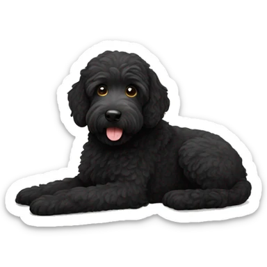 Black labradoodle  sticker