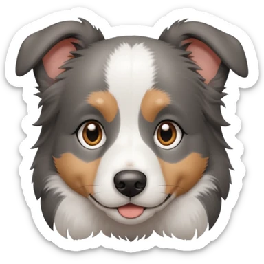 puppy dog, half border collie, gray fur, brown eyes sticker
