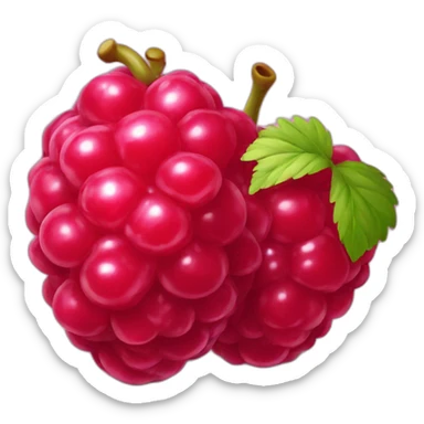 framboise fruit sticker