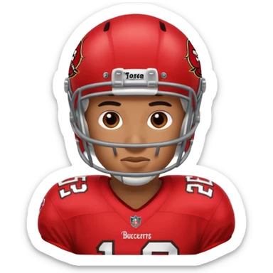 Tampa buccaneers  sticker