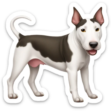 Bull terrier sticker