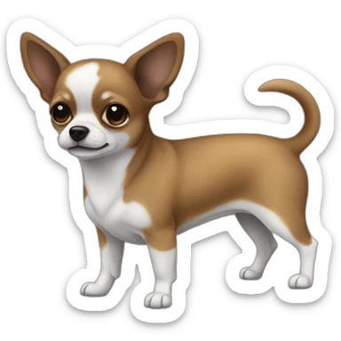 Chiwawa black and a little white sticker