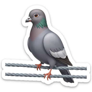 Pigeon sticker