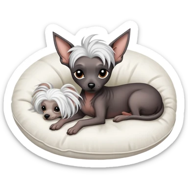 one black hairless chinese crested dog laying down on a white pillow curled up peacefully sticker