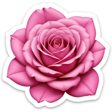 Polaroid photo of a pink rose  sticker